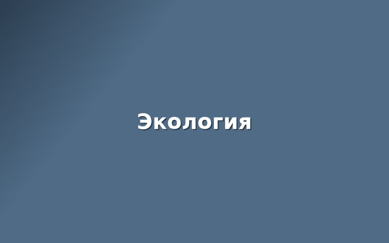 В Басманном высадили «Сад памяти»