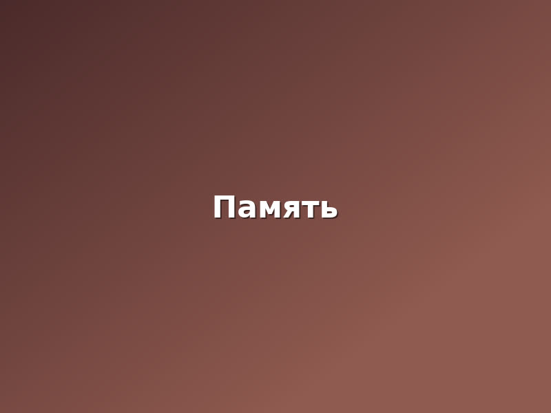 Фоторепортаж 7